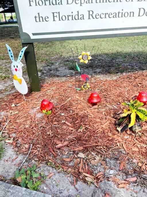 3Brdrm Home Near Downtown Orlando And Winterpark ภายนอก รูปภาพ
